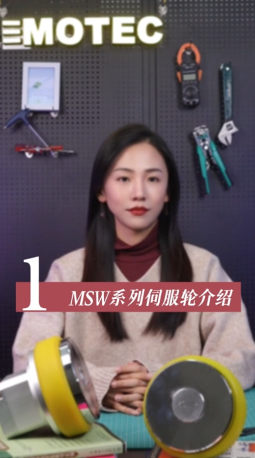 MSW系列伺服轮介绍01的图片